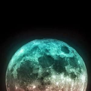 Meet your Posher, Ronnie